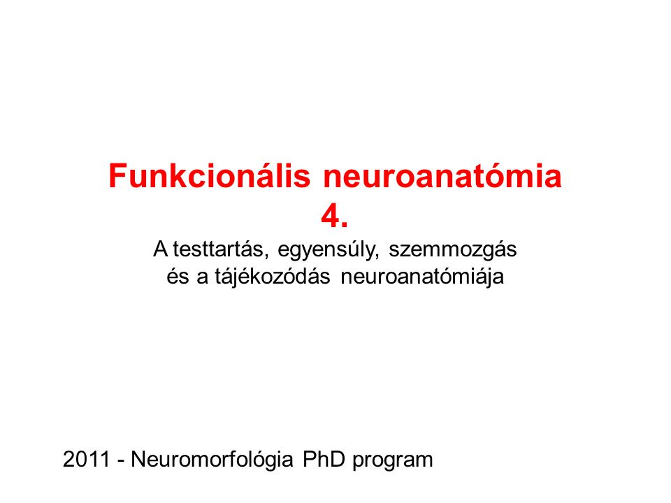 Funkcionális neuroanatómia