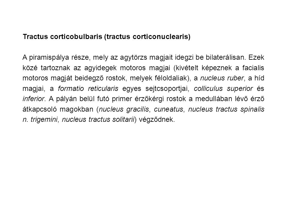 Tractus corticobulbaris (tractus corticonuclearis)
