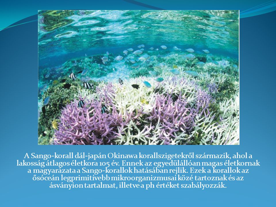 A Sango-korall dál-japán Okinawa korallszigetekről származik, ahol a lakosság átlagos életkora 105 év.