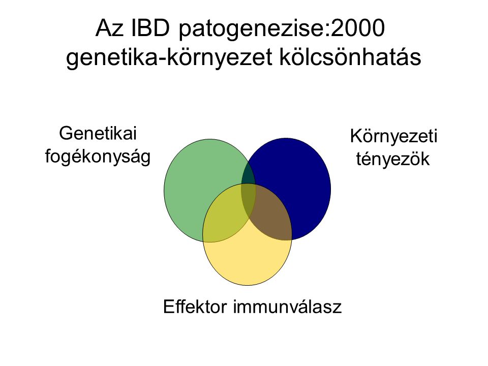 Az IBD patogenezise:2000 genetika-környezet kölcsönhatás