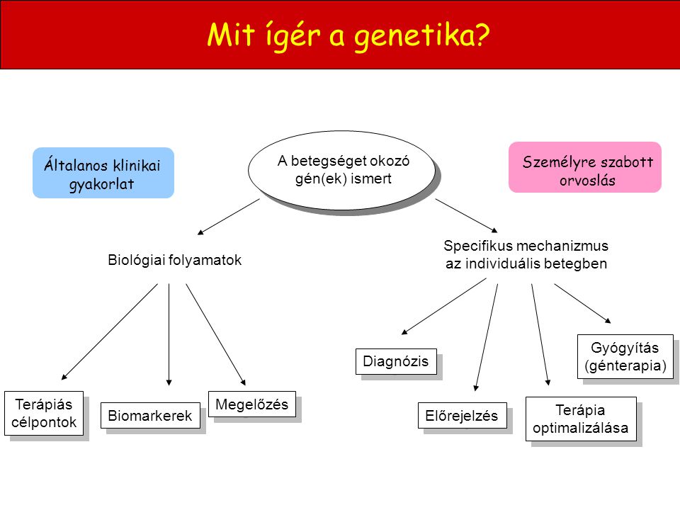 Mit ígér a genetika A betegséget okozó gén(ek) ismert Diagnózis