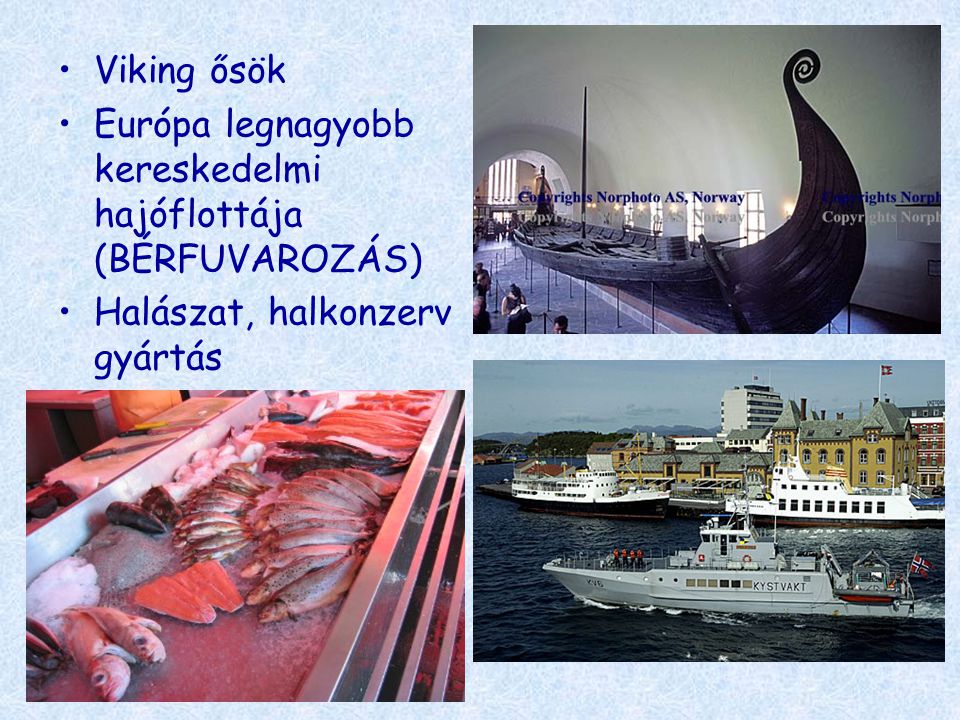 Viking ősök Európa legnagyobb kereskedelmi hajóflottája (BÉRFUVAROZÁS) Halászat, halkonzerv gyártás