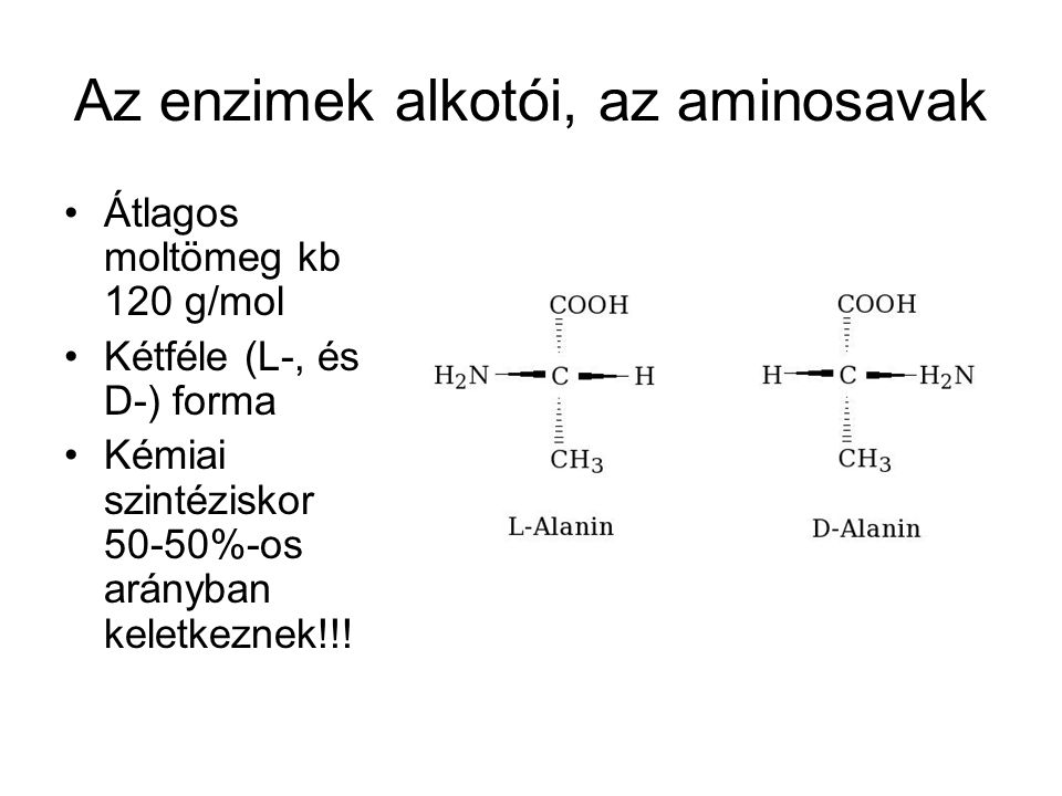 Az enzimek alkotói, az aminosavak