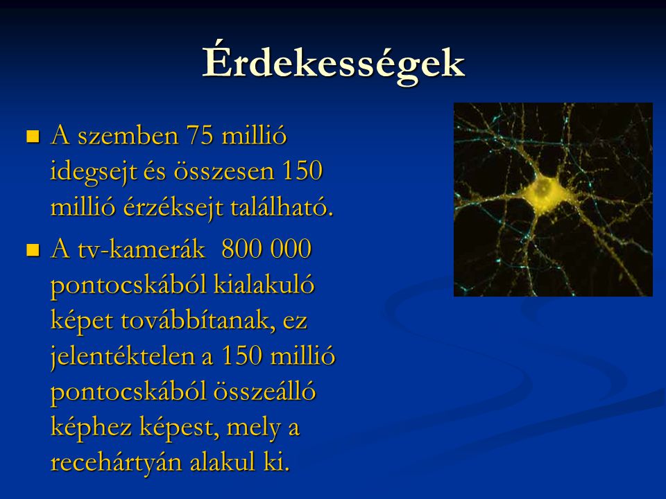 Érdekességek A szemben 75 millió idegsejt és összesen 150 millió érzéksejt található.