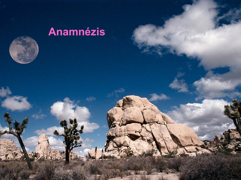 Anamnézis