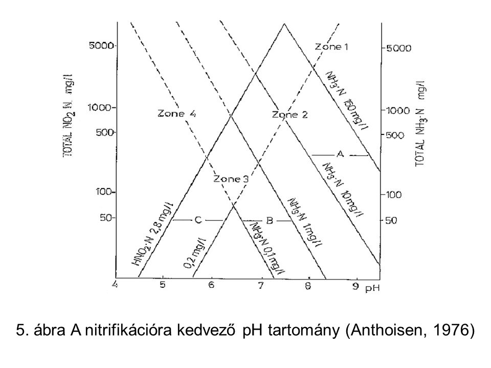 5. ábra A nitrifikációra kedvező pH tartomány (Anthoisen, 1976)