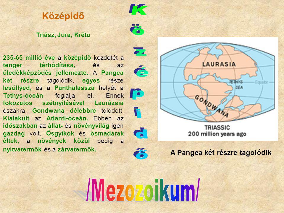 Középidő Középidő A Pangea két részre tagolódik /Mezozoikum/
