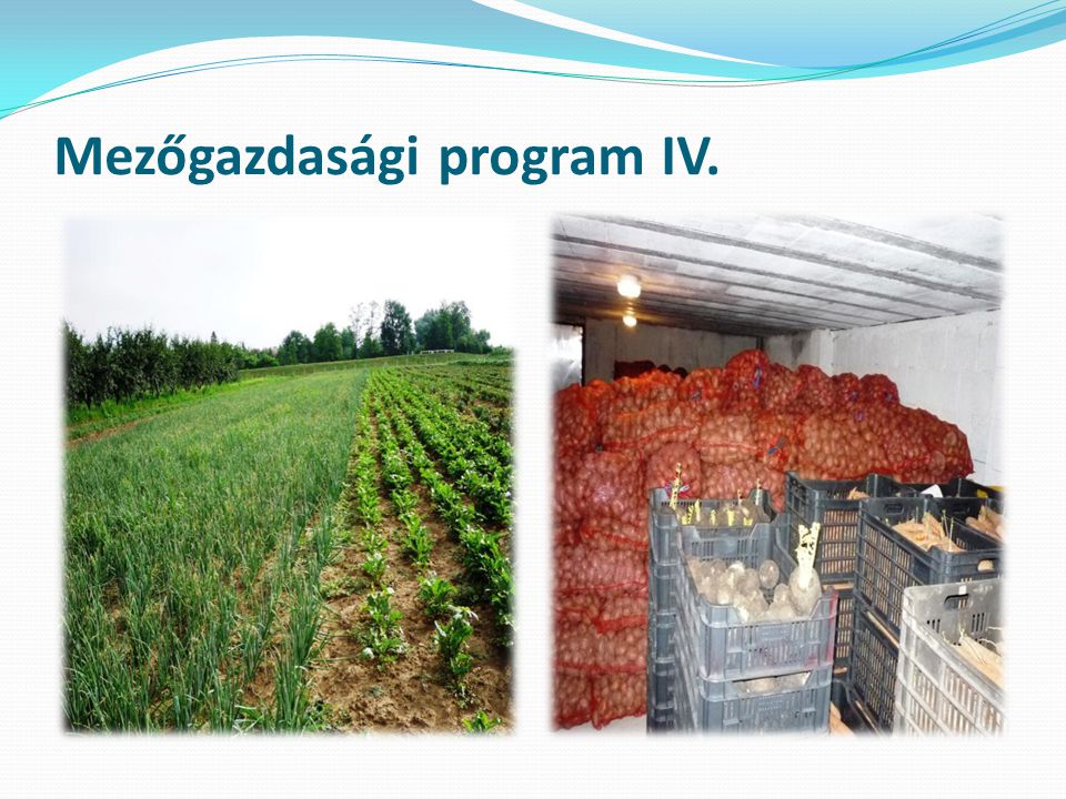 Mezőgazdasági program IV.