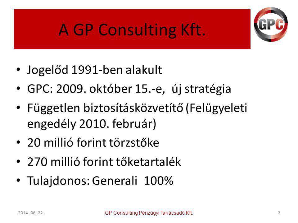 A GP Consulting Kft. Jogelőd 1991-ben alakult