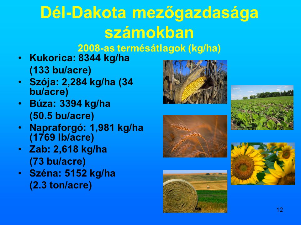 Dél-Dakota mezőgazdasága számokban 2008-as termésátlagok (kg/ha)