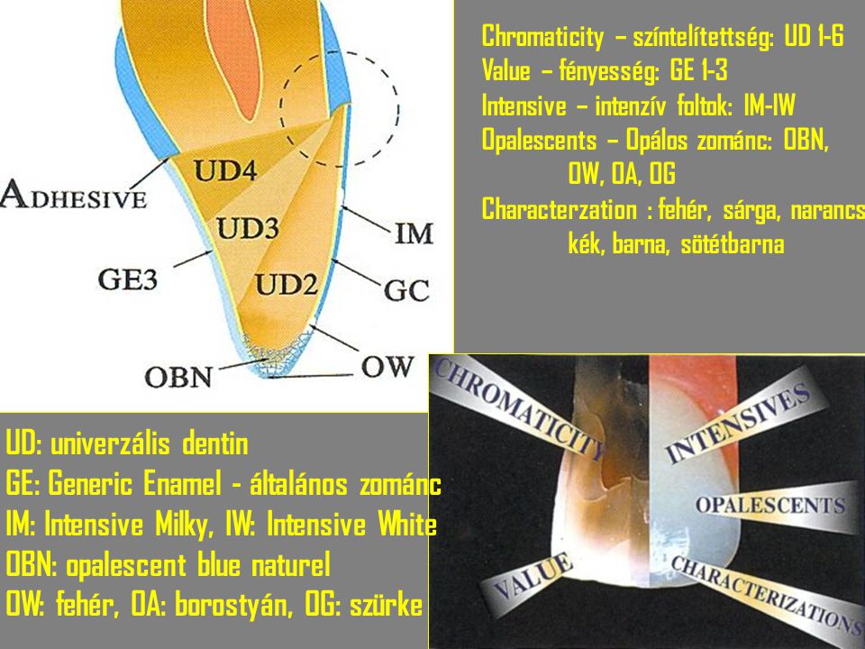 UD: univerzális dentin GE: Generic Enamel - általános zománc