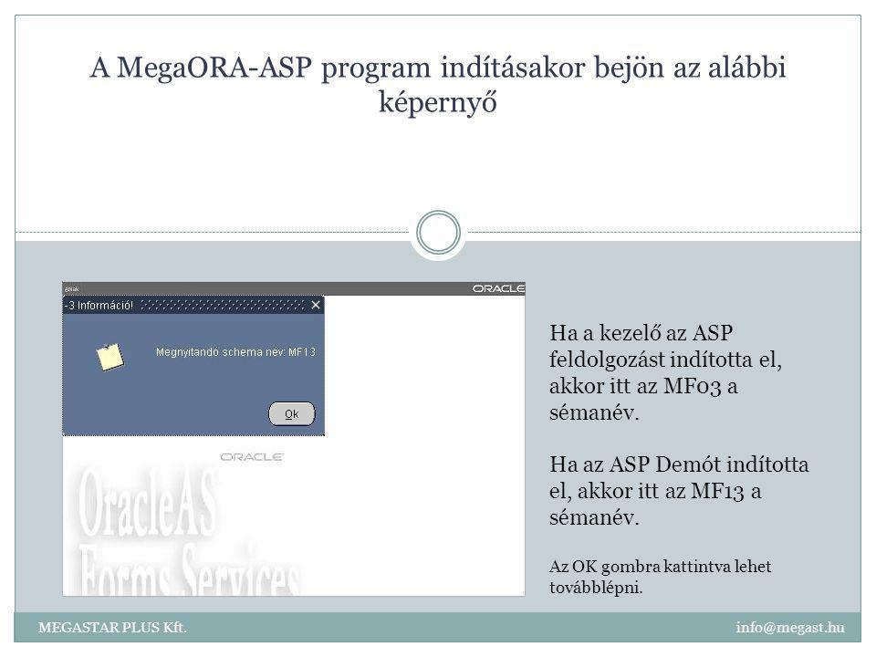 A MegaORA-ASP program indításakor bejön az alábbi képernyő