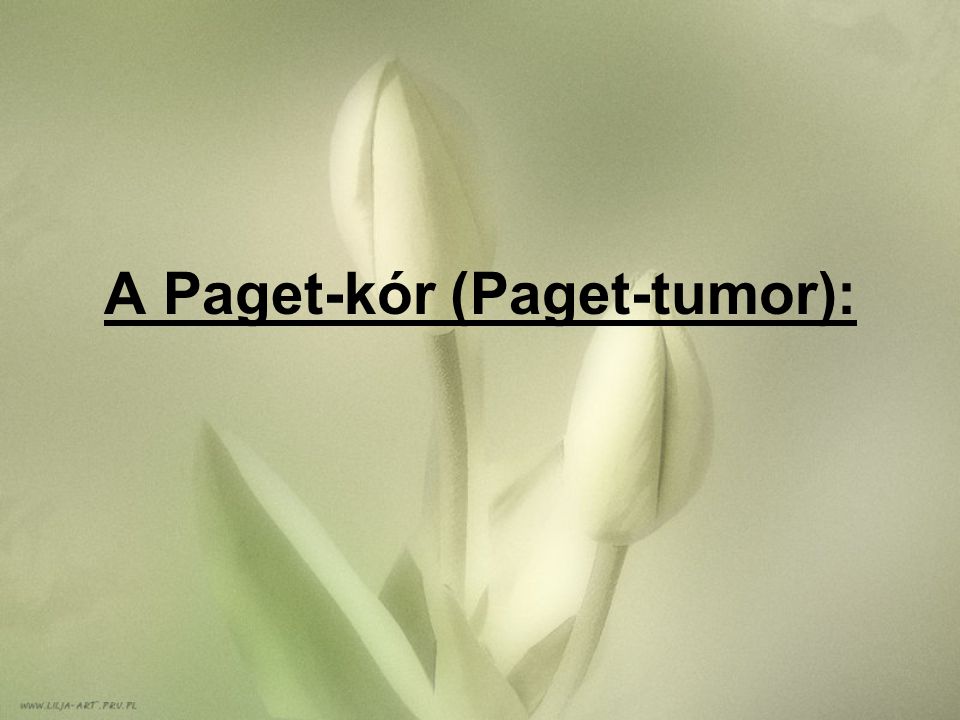 A Paget-kór (Paget-tumor):