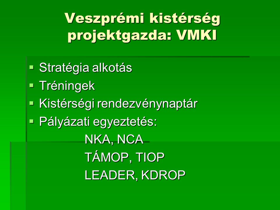 Veszprémi kistérség projektgazda: VMKI
