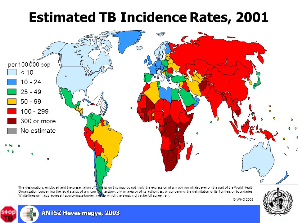 Estimated TB Incidence Rates, 2001