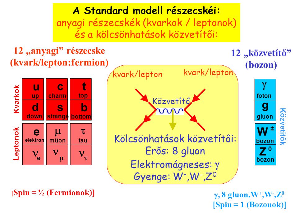 A Standard modell részecskéi: (kvark/lepton:fermion)