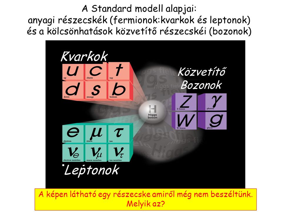 Kvarkok Leptonok Közvetítő Bozonok A Standard modell alapjai: