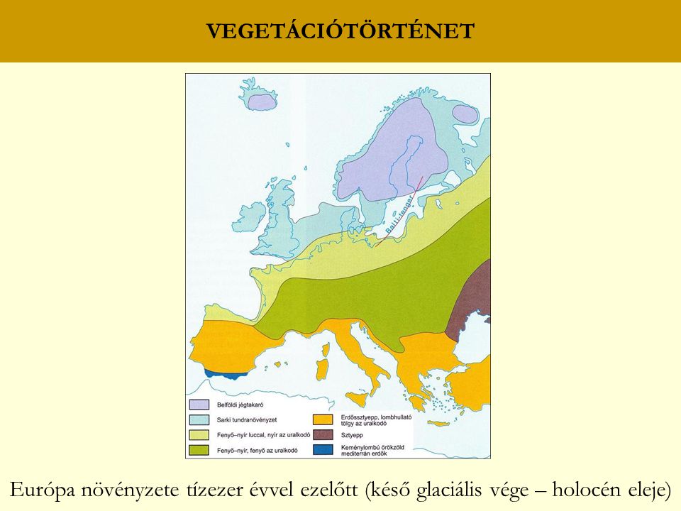 VEGETÁCIÓTÖRTÉNET Európa növényzete tízezer évvel ezelőtt (késő glaciális vége – holocén eleje)