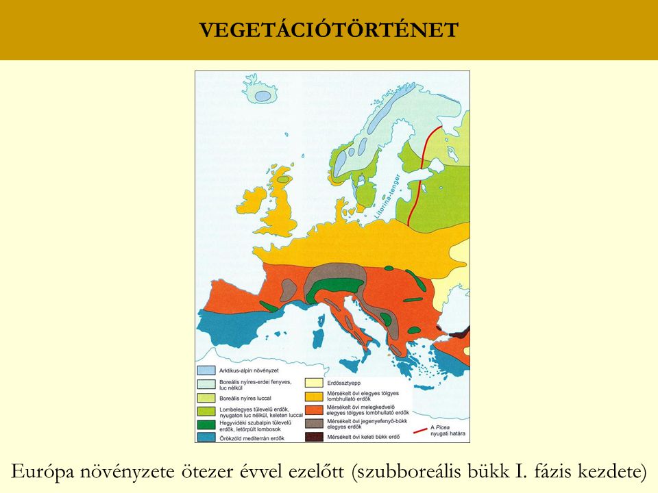 VEGETÁCIÓTÖRTÉNET Európa növényzete ötezer évvel ezelőtt (szubboreális bükk I. fázis kezdete)