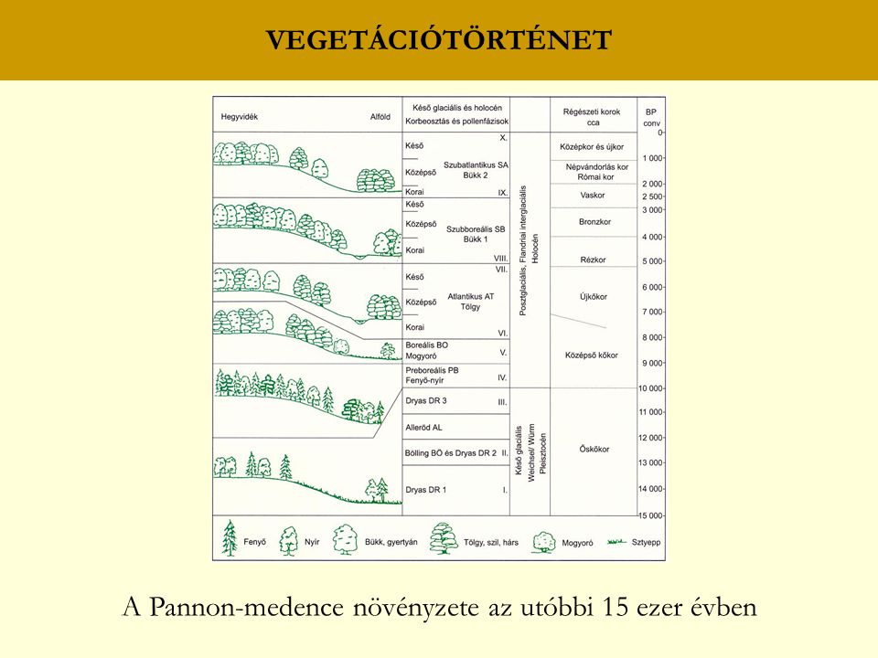 A Pannon-medence növényzete az utóbbi 15 ezer évben
