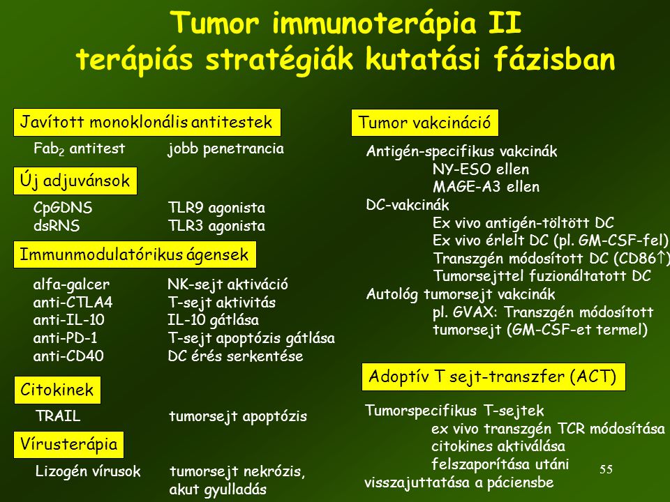 Tumor immunoterápia II terápiás stratégiák kutatási fázisban