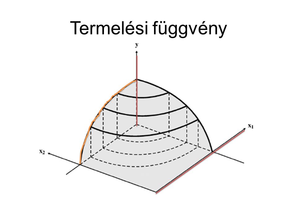 Termelési függvény Termelési függvény, mint technológiai korlát.