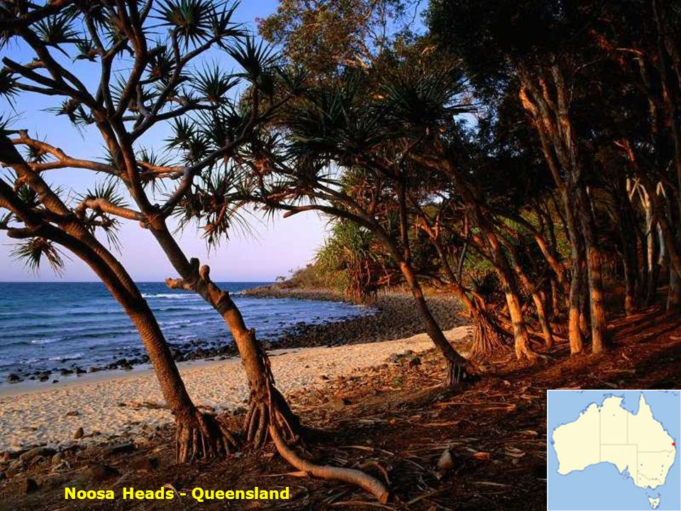 Noosa Heads - Queensland