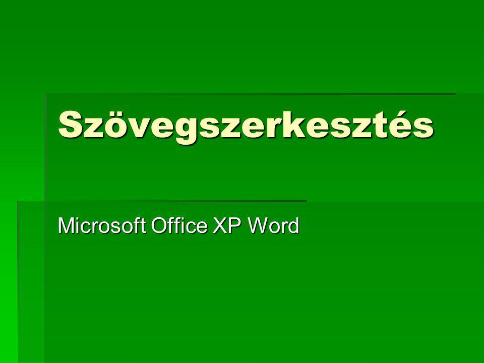 Microsoft Office XP Word