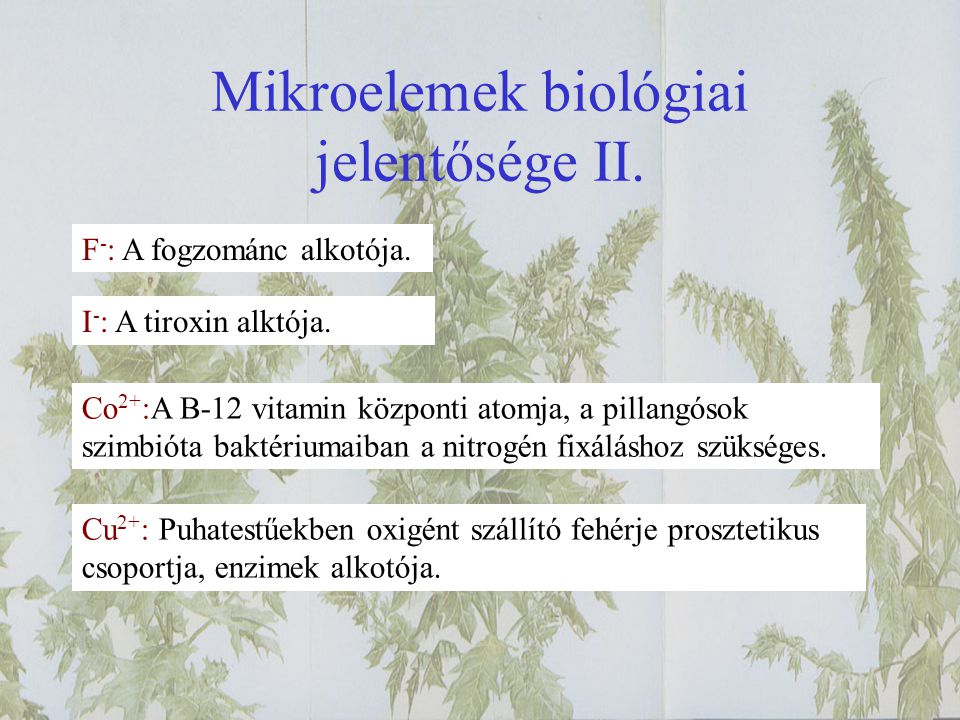 Mikroelemek biológiai jelentősége II.
