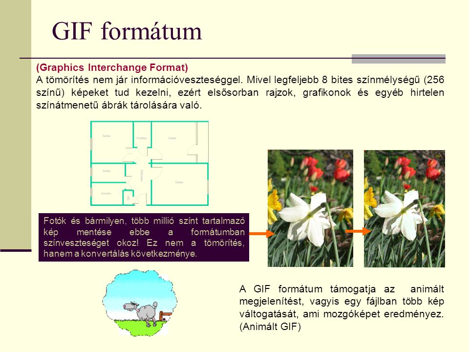 GIF formátum (Graphics Interchange Format)