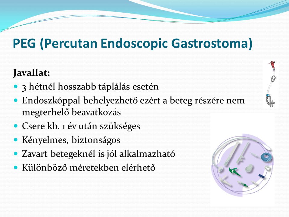 PEG (Percutan Endoscopic Gastrostoma)