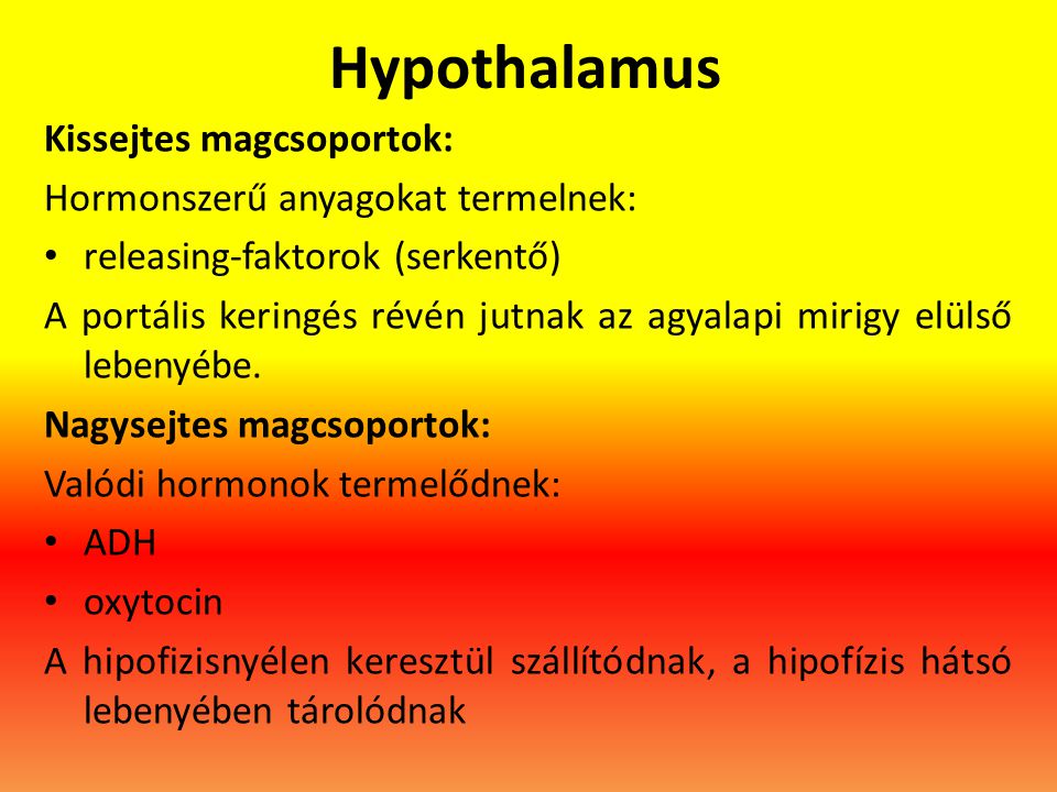 Hypothalamus Kissejtes magcsoportok: Hormonszerű anyagokat termelnek: