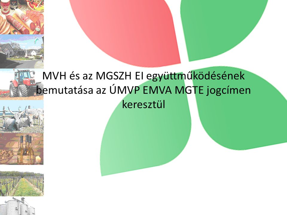 MVH és az MGSZH EI együttműködésének bemutatása az ÚMVP EMVA MGTE jogcímen keresztül