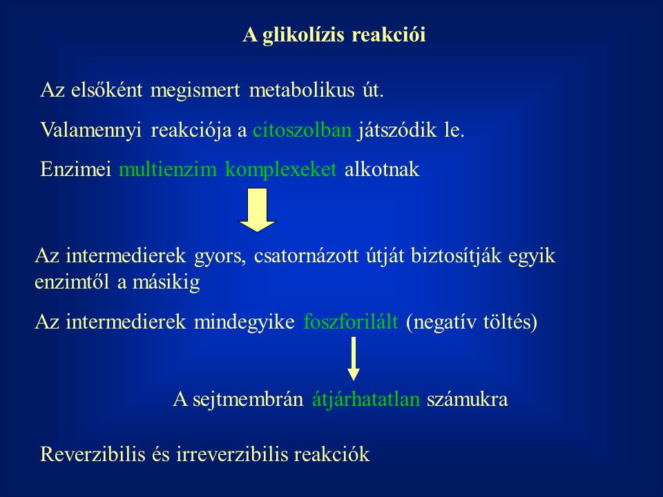 A glikolízis reakciói Az elsőként megismert metabolikus út. Valamennyi reakciója a citoszolban játszódik le.