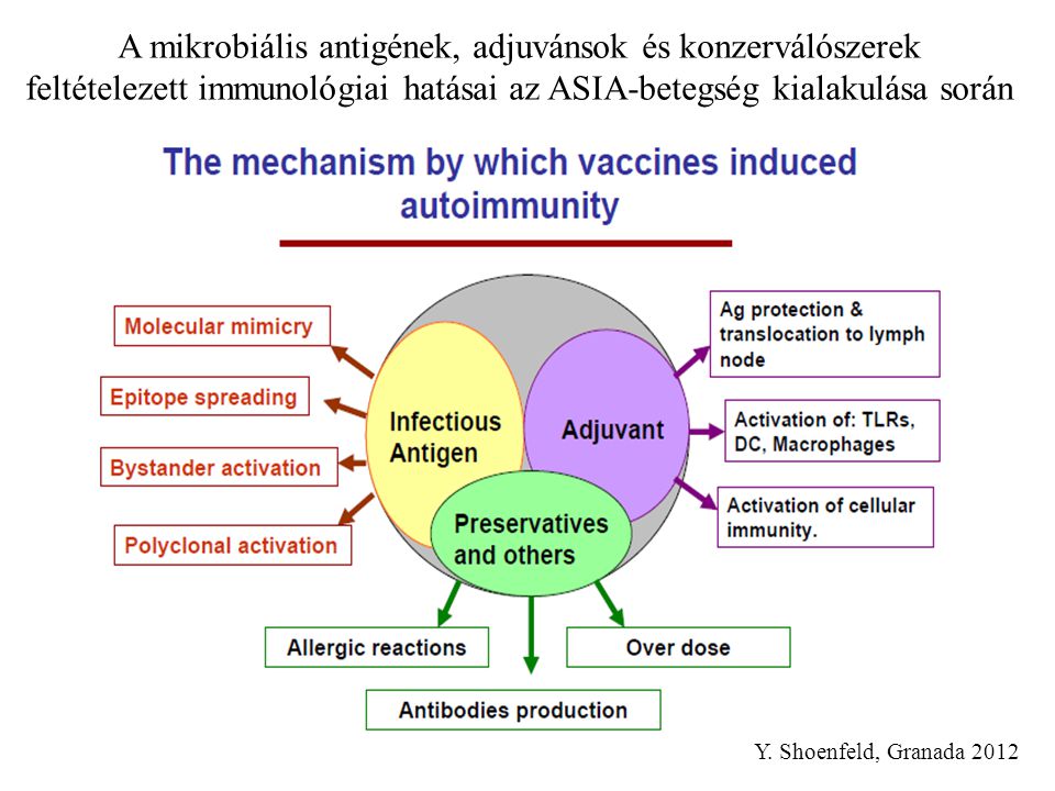 A mikrobiális antigének, adjuvánsok és konzerválószerek