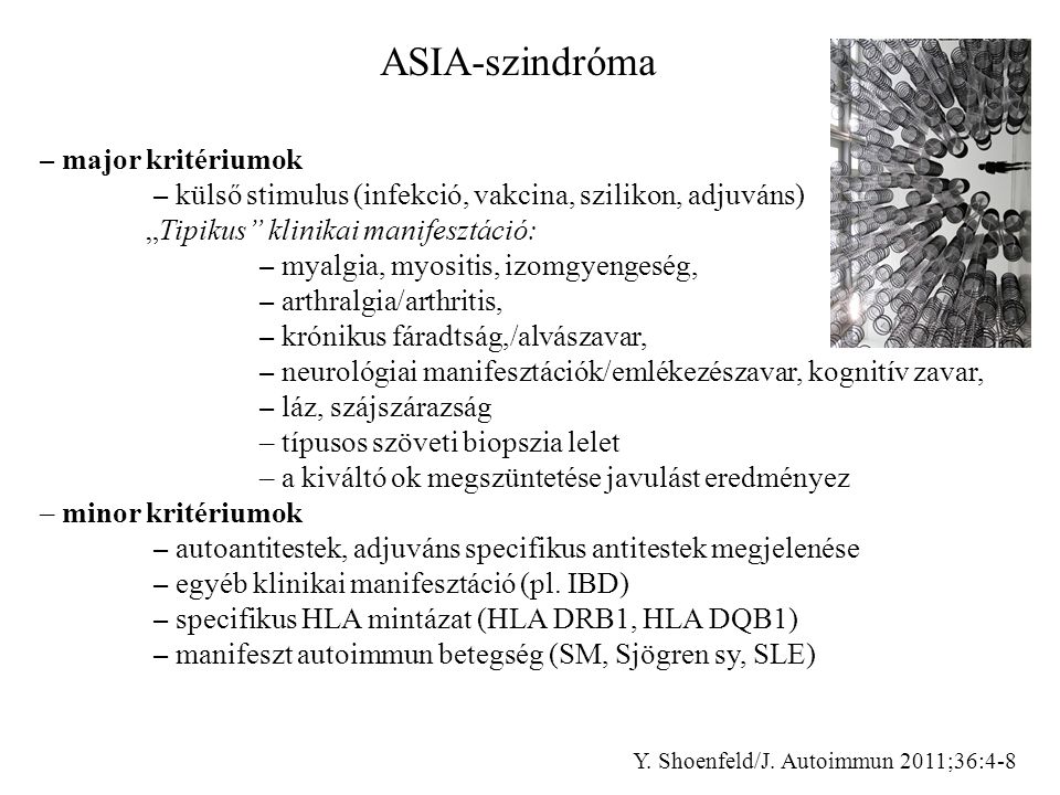 ASIA-szindróma – major kritériumok. – külső stimulus (infekció, vakcina, szilikon, adjuváns) „Tipikus klinikai manifesztáció: