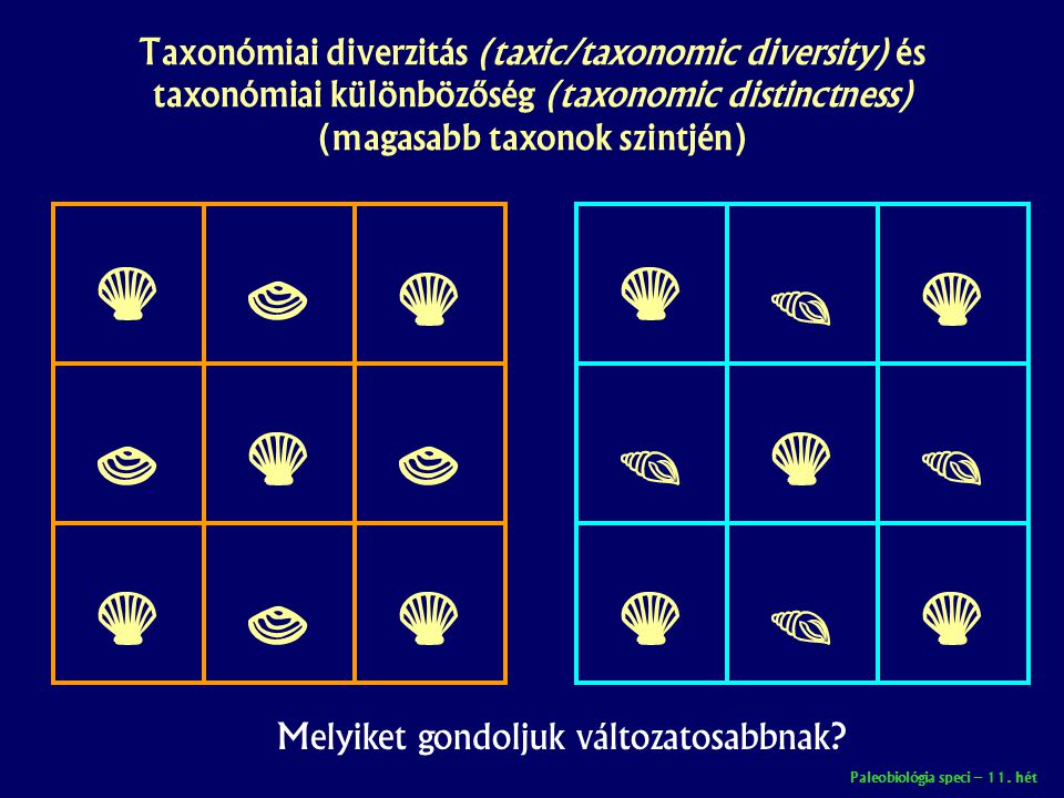 Taxonómiai diverzitás (taxic/taxonomic diversity) és taxonómiai különbözőség (taxonomic distinctness) (magasabb taxonok szintjén)