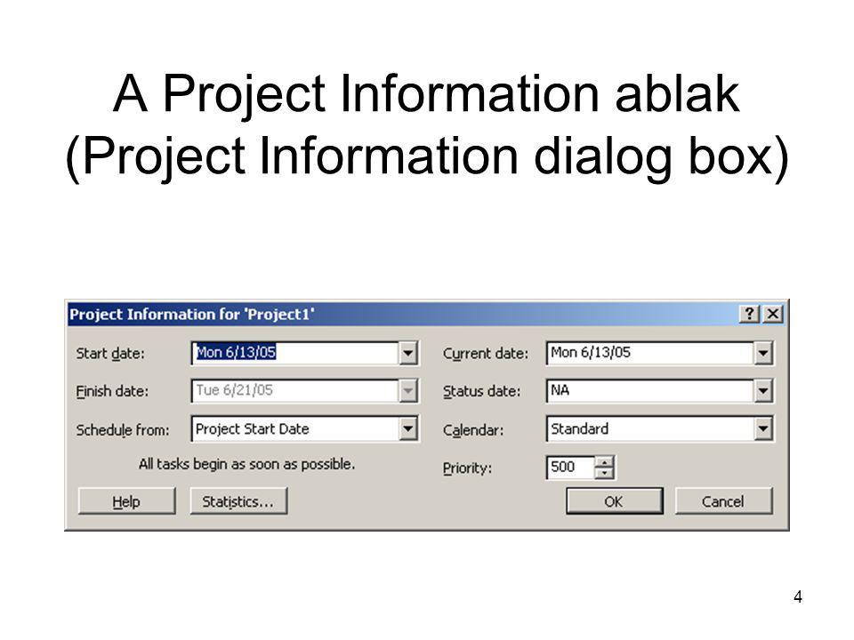 A Project Information ablak (Project Information dialog box)