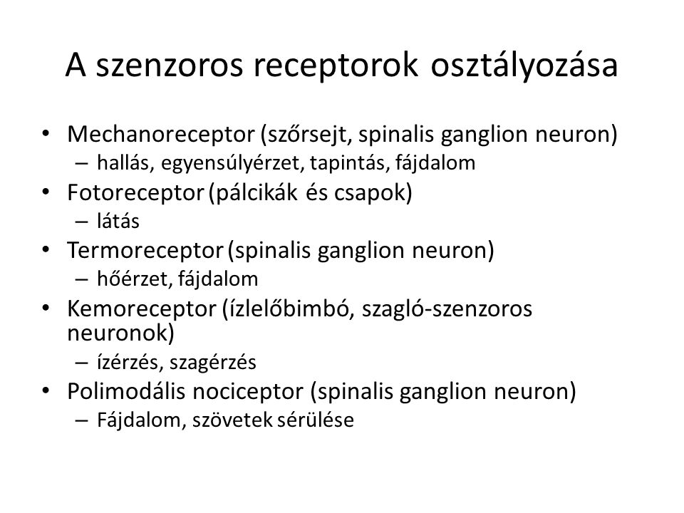 A szenzoros receptorok osztályozása