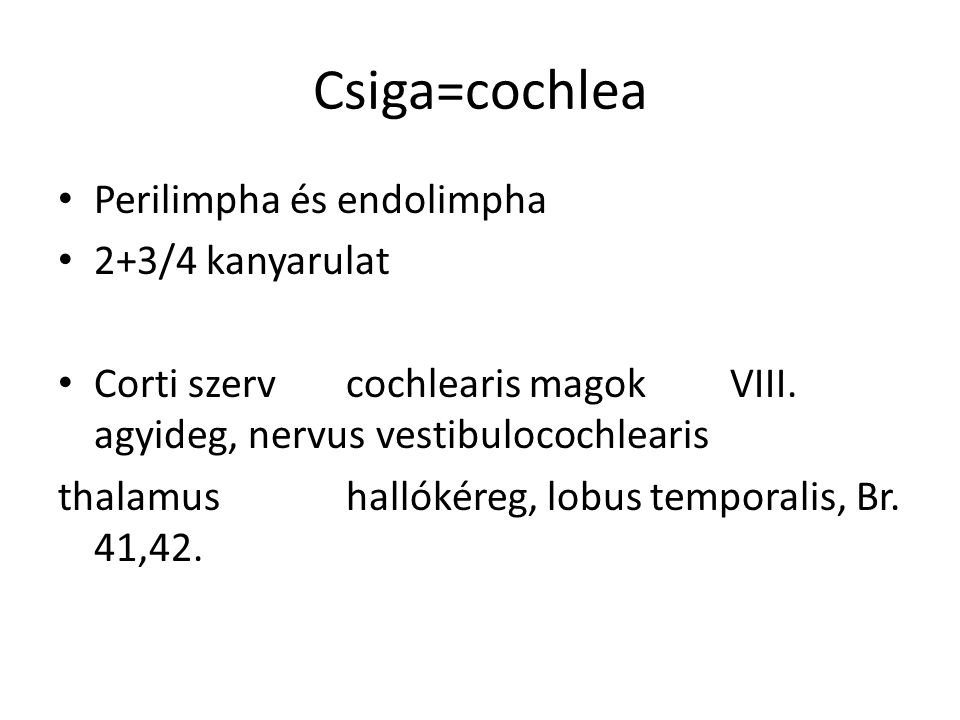 Csiga=cochlea Perilimpha és endolimpha 2+3/4 kanyarulat