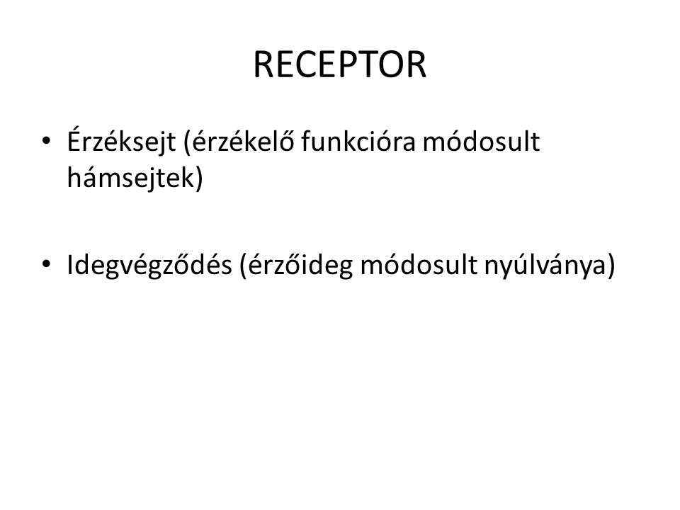 RECEPTOR Érzéksejt (érzékelő funkcióra módosult hámsejtek)