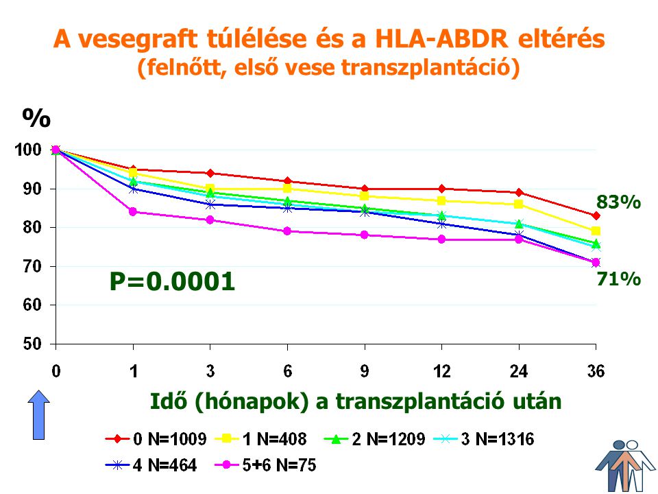A vesegraft túlélése és a HLA-ABDR eltérés (felnőtt, első vese transzplantáció)