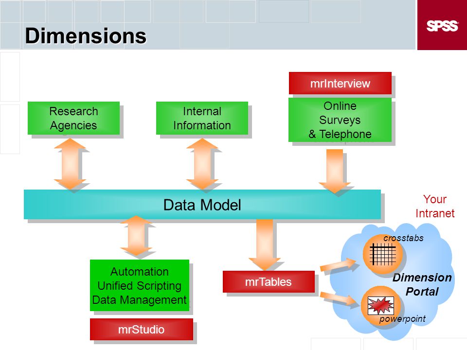 Dimensions Data Model mrInterview Online Surveys & Telephone Research