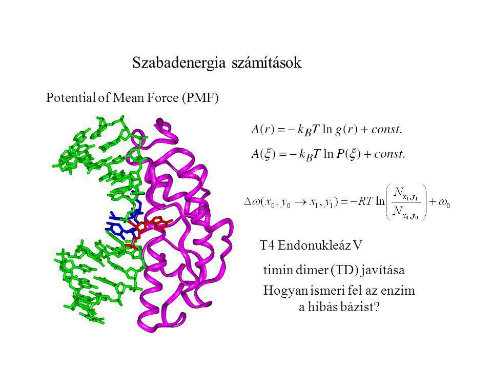 Hogyan ismeri fel az enzim
