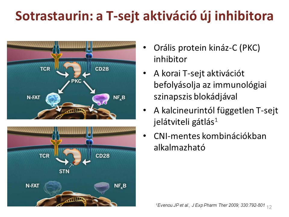 Sotrastaurin: a T-sejt aktiváció új inhibitora