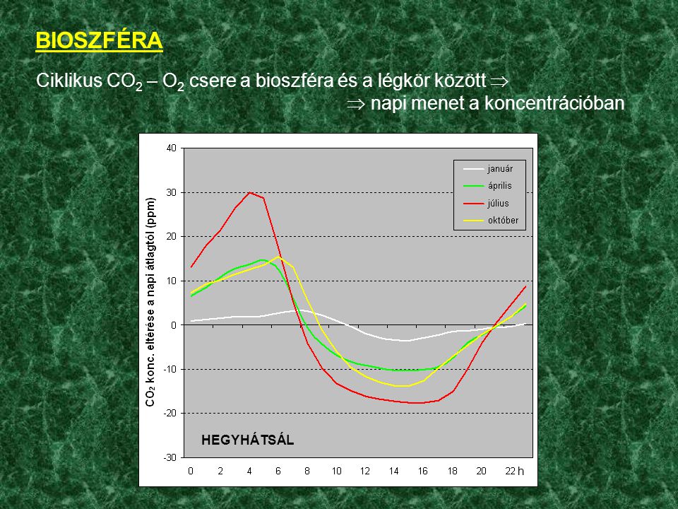 BIOSZFÉRA Ciklikus CO2 – O2 csere a bioszféra és a légkör között   napi menet a koncentrációban.