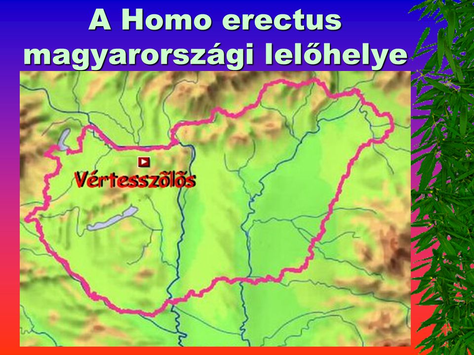 A Homo erectus magyarországi lelőhelye