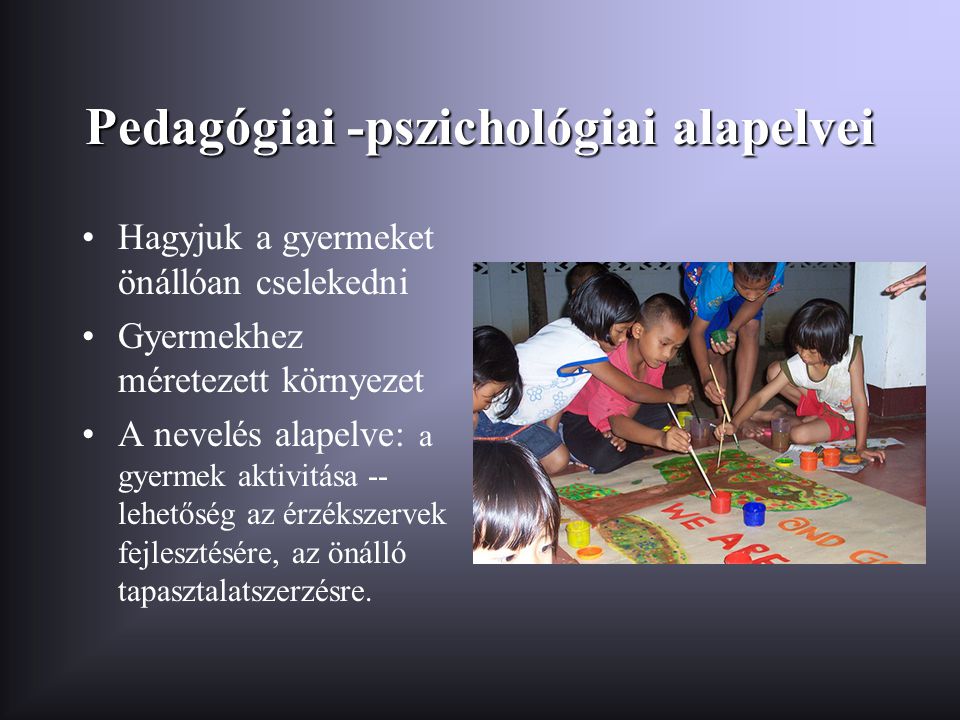 Pedagógiai -pszichológiai alapelvei