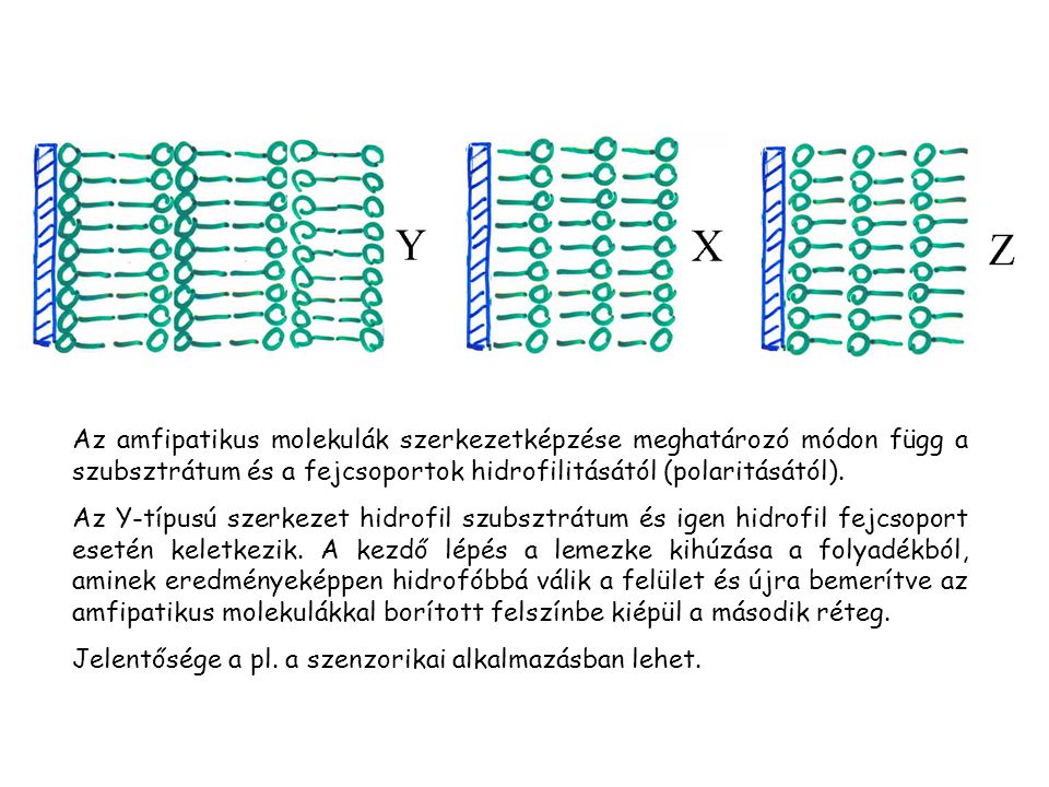 Az amfipatikus molekulák szerkezetképzése meghatározó módon függ a szubsztrátum és a fejcsoportok hidrofilitásától (polaritásától).
