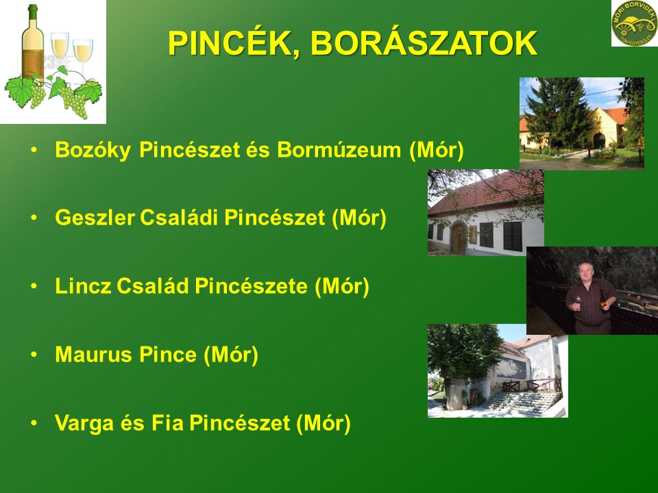PINCÉK, BORÁSZATOK Bozóky Pincészet és Bormúzeum (Mór)